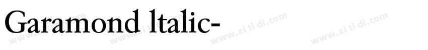 Garamond ltalic字体转换
